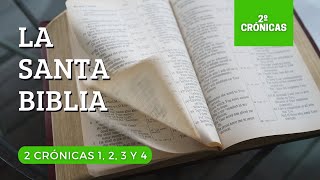 2 CRÓNICAS 1, 2, 3, 4 (DÍA 122) LA SANTA BIBLIA || Biblia hablada ||