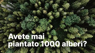 Avete mai piantato 1000 alberi?