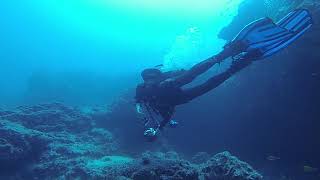 Friends Diving