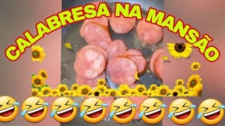 Carlinhos Maia UMA NOITE NA MANSÃO🌻🤣