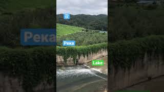 Lake 🌍река 🌸강 🌊