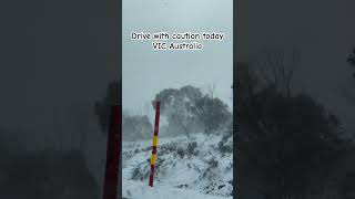 Blizzard in the great alpine road victoria state. #snow #blizzard #snowvictoria #snowaustralia