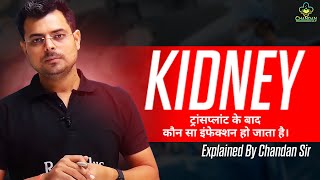 Kidney transplant के बाद कौन सा इन्फेक्शन हो जाता है | Chandan Mlt | RanKplus