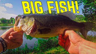 Pond Fishing for BIG Fish!!!