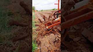 Khedut putra Gujarat farmer vavni Video,Monsoon 2022..