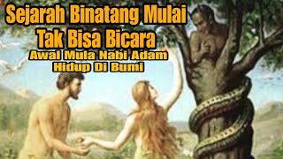 Sejarah binatang mulai tak bisa bicara || Awal mula nabi adam hidup di bumi