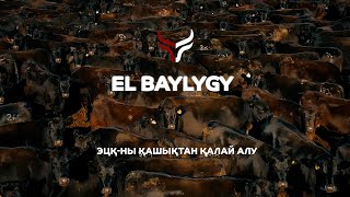 EL BAYLYGY | ЕЛ БАЙЛЫҒЫ - ЭЦҚ-НЫ ҚАШЫҚТАН ҚАЛАЙ АЛУ