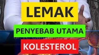 Bahaya Lemak