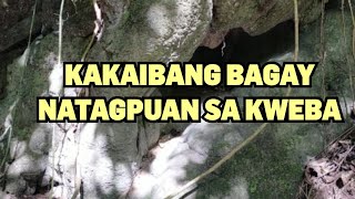 KAKAIBANG BUNGO NATAGPUAN SA KWEBA l DAMING PATIBONG