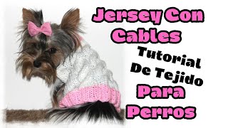 Jersey Para Perros Con Cables Tutorial De Tejido