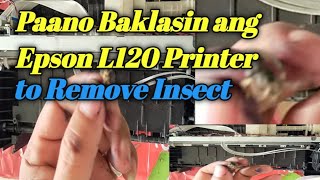 Paano Baklasin at Ayusin ang Epson L120 Printer