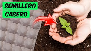 🌱 TRUCO para hacer un SEMILLERO con CARTÓN DE HUEVOS