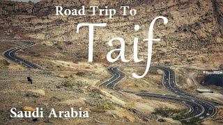 Taif Road Trip | Al Hadda Mountain | City Tour on Car | Taif Trip EP2