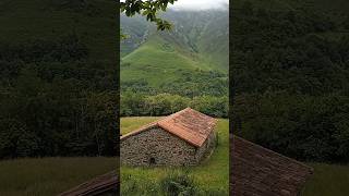 😻.. Conecta Con La Naturaleza..😻. Naturaleza Conecta Asturias. #nature #cute #relaxing  #shortvideo