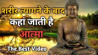 शरीर त्यागने के बाद कहा जाती है आत्मा // Gotam Buddha// Buddha Inspired //