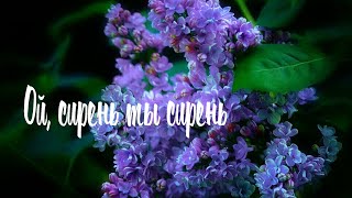 ОЙ, СИРЕНЬ ТЫ СИРЕНЬ / Разбор на гармони с цифрами + ТРЕНЕР