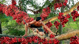 Survival in the rainforest - Man pick figs in rocky mountain & cook fish for eat - Eating