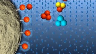 Hydrophobic Interaction Chromatography (GFP Purification part 4 of 6)