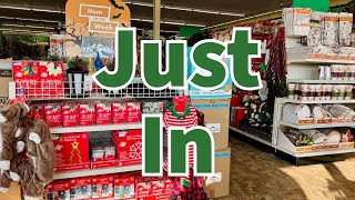 Dollar Tree 2024 | NEW Finds This Week😮😮😮