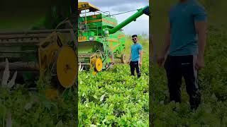 farmer gymboy #explore #gym #youtubeshorts #viral #share #bodybuilder #pawansahu #workout #desi