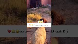 شكلي وانا رايحه اختار تخصصي بالجامعه😂🤡💔