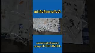 ฝากทุกคนไปติดตามให้ใหม่หน่อยน้า #ตลาดปลาจตุจักร  #ปลาสวยงาม #ตลาดปลาลานเร่ #ลานเร่