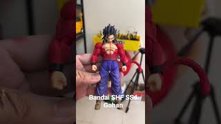 Bandai SHF Dragon Ball Z SS4 Gohan by AVTCUSTOMS