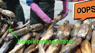 Luar Biasa Pabrik Produksi masal keripik akar teratai korea | korean street food