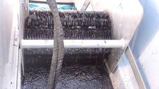 Efficiency of a ScorTail Brush Belt Oil Recovery Skimmer