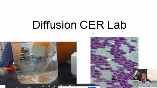 Diffusion CER Lab AP Bio