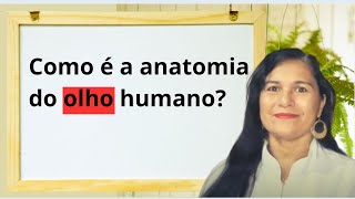 Como é a anatomia do olho humano? #anatomia #fisiologia #iris #iridologia