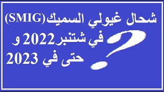 كل ما يخص الزيادة في الحد الأدنى للأجور لسنة 2022 (شحال غيولي سميك smig)