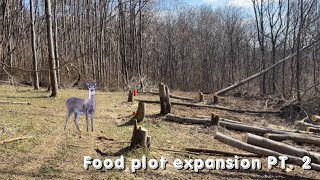 Clearing and cutting trees | Building a food plot on 5 acres