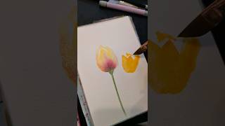 watercolor tulips #watercolorflorals