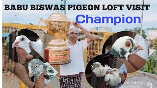 Champion Babu Biswas pigeon loft visit || Dasi & Madrasi pigeon part -1