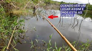 QUANDO VER UM LUGAR ASSIM É O PONTO CERTO DAS GIGANTE