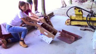 Barn Owl Release