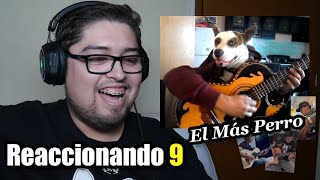 UN PERRO TOCANDO!!! Reacción 9 - El Magallanes