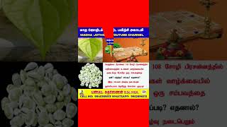 சோழி பிரசன்னம்    தாம்பூல பிரசன்னம்  வெற்றிலை பிரசன்னம்       தீப தாம்பூல பிரசன்னம் சோழி பிரசன்னம்