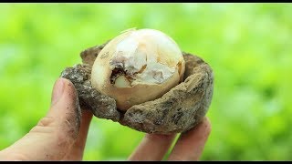 Cocine un huevo con barro: el consejo de una vida increíble