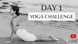 DAY 1 | Traditional Hatha & Sun Salutations | Yoga Challenge For All