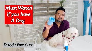 Charlie and his paws | Dog Care | Paw Cleaning