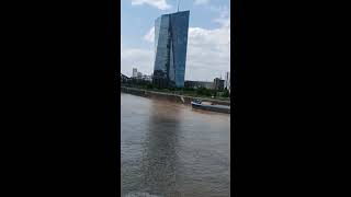 Life in Germany. Majestic skyscrapers on the Main. Frankfurt am Main. #birds #nature #duck #swan