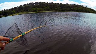 Pesca con CAÑA MOJARRERA - Mucha PESCA Variada