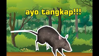 TANGKAP TIKUS