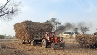 Belarus tractor sugar load atvelar good smoking rusi tractor video