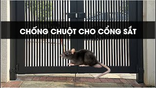 Chống chuột cho cổng sắt