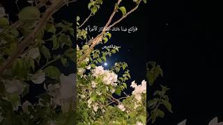 #قران_كريم سورة القصص #علي_جابر