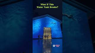 What If This Water Tank Breaks?#shorts  #trending  #life   #sharing  #funny #shortvideo #night