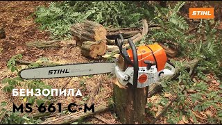 Огляд Бензопили STIHL MS 661 C-M | Офіційний дилер STIHL у Харкові | "Добрий Господар"